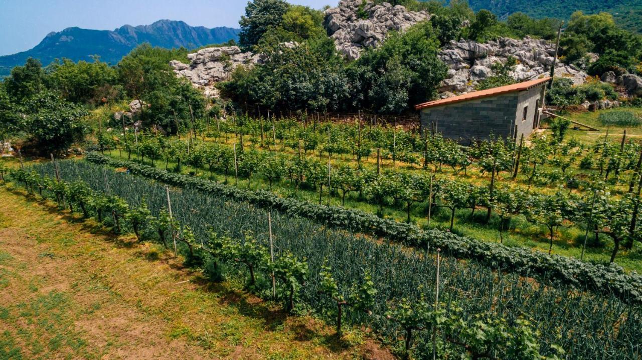 Apartments Econature Virpazar Εξωτερικό φωτογραφία