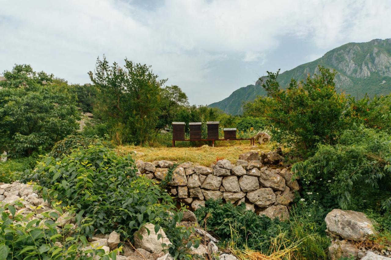 Apartments Econature Virpazar Εξωτερικό φωτογραφία